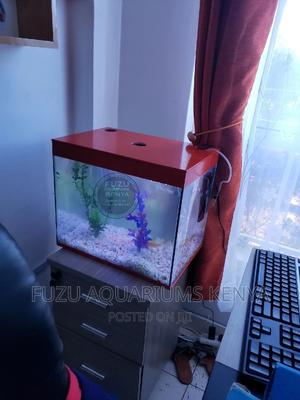 Small Aquarium - thumbnail 2