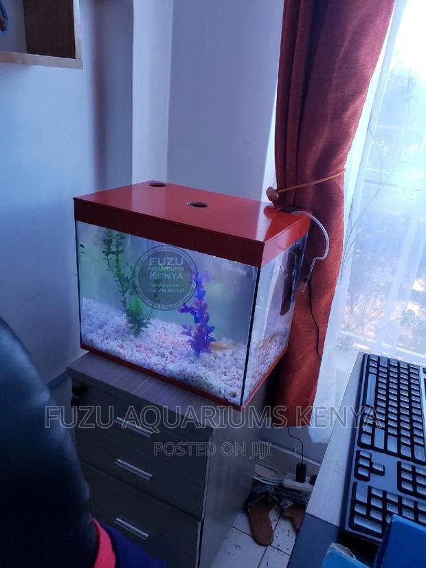 Small Aquarium - main view