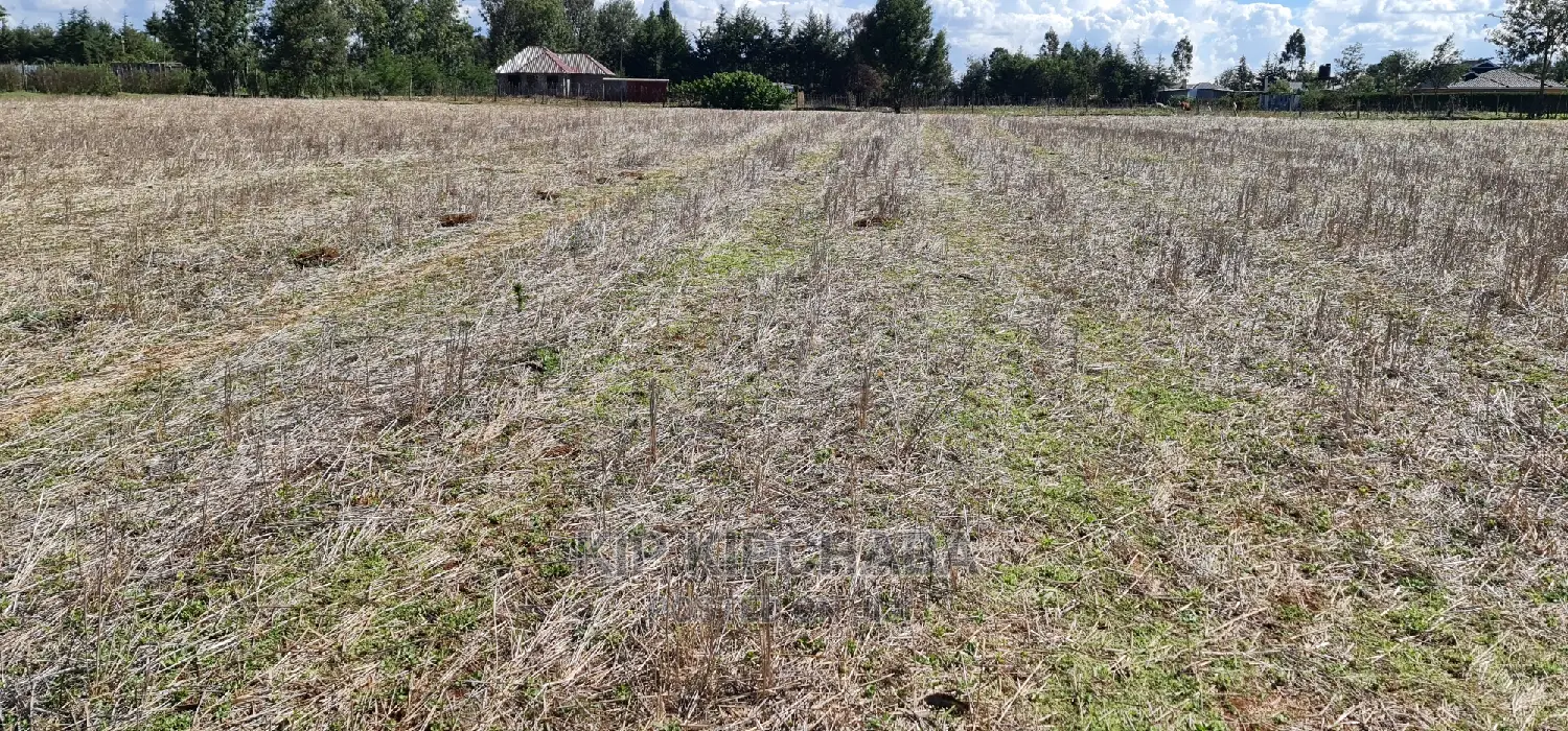 1⁄4 Plot for Sale in Chepkanga Eldoret