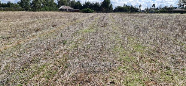 1⁄4 Plot for Sale in Chepkanga Eldoret - thumbnail 10
