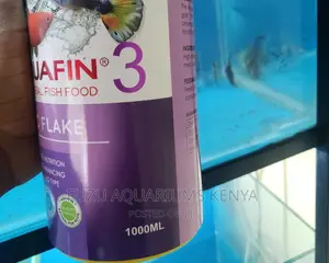 Fish Food for Aquariums
