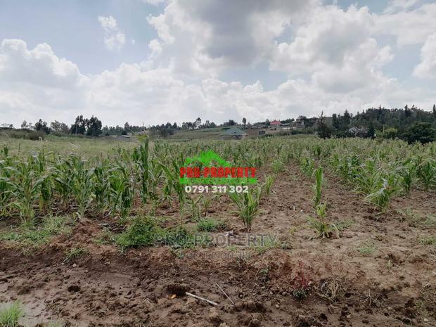 Prime Residential 0.05 Ha Plot for Sale in Kikuyu, Kamangu. - thumbnail 9