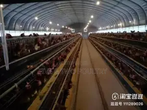 Poultry Cages (3000birds)