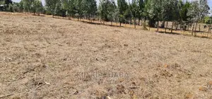 Several Gated Community Plots for Sale in Illula Eldoret