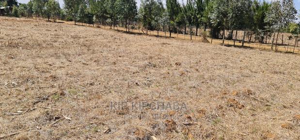 Several Gated Community Plots for Sale in Illula Eldoret - thumbnail 3