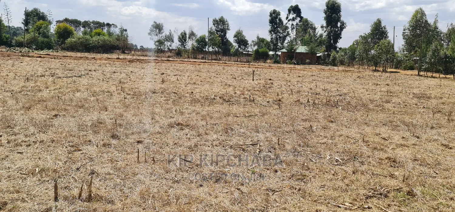 Several Gated Community Plots for Sale in Illula Eldoret