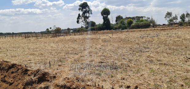 Several Gated Community Plots for Sale in Illula Eldoret - thumbnail 7