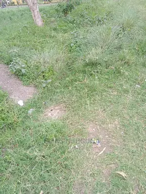 24acre Kangundo Rd, Joska (Behind Ndovoini Shopping) Centre