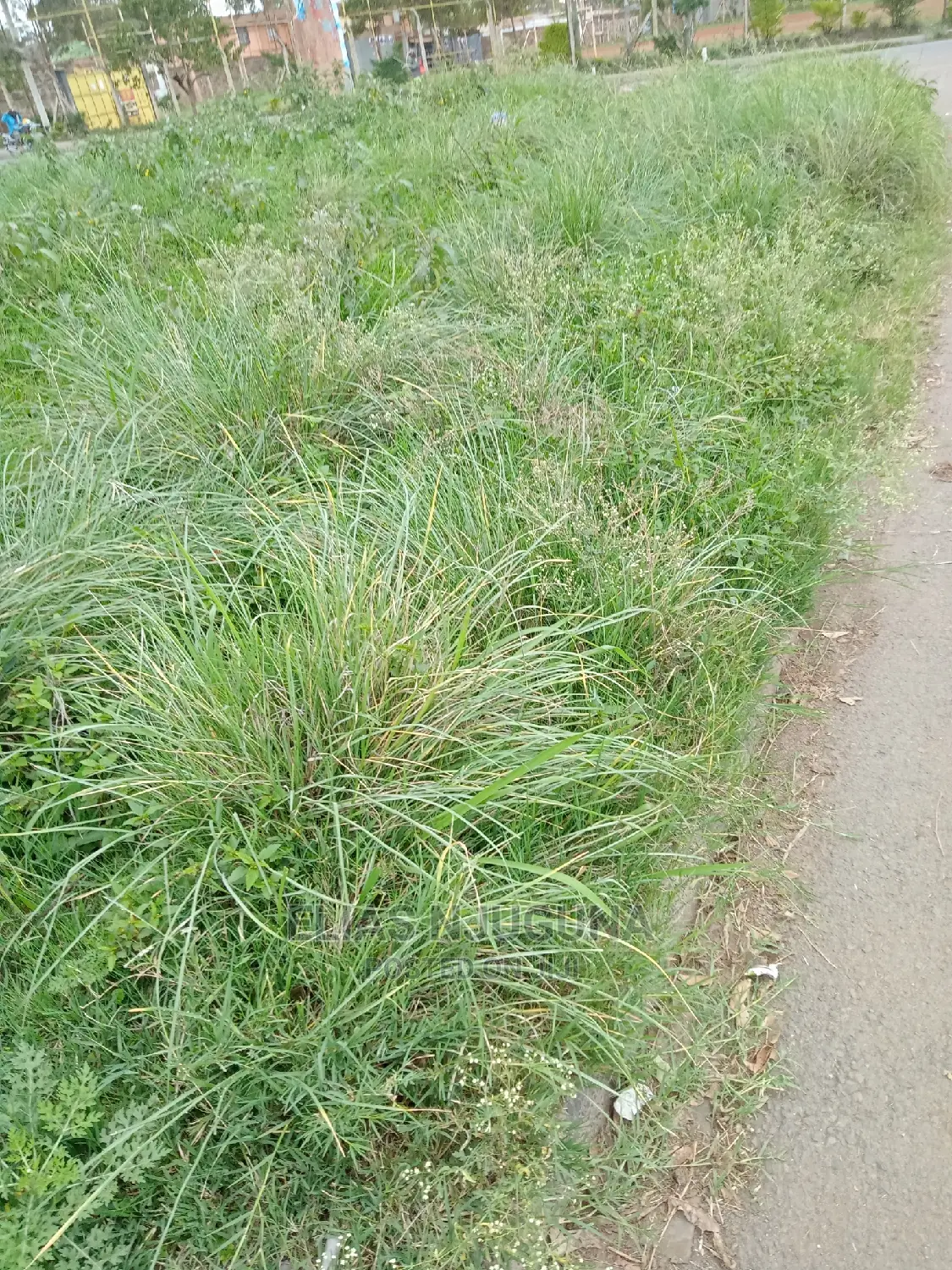 24acre Kangundo Rd, Joska (Behind Ndovoini Shopping) Centre