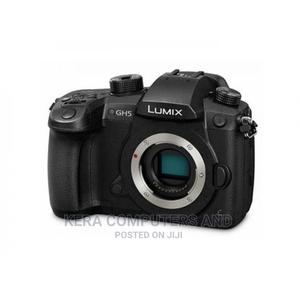 Lumix Gh 5 - main view