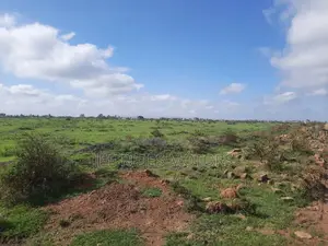 500 Acres for Sale at Juja Mastore