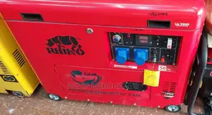 Rhino 10 HP Diesel Powered Generator With Ats