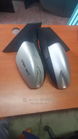 Nissan Sylphy New Model Side Mirror