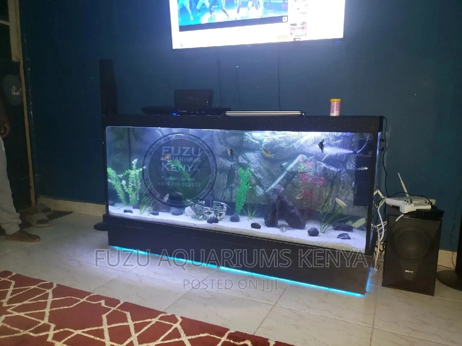 Tv Stand Aquarium