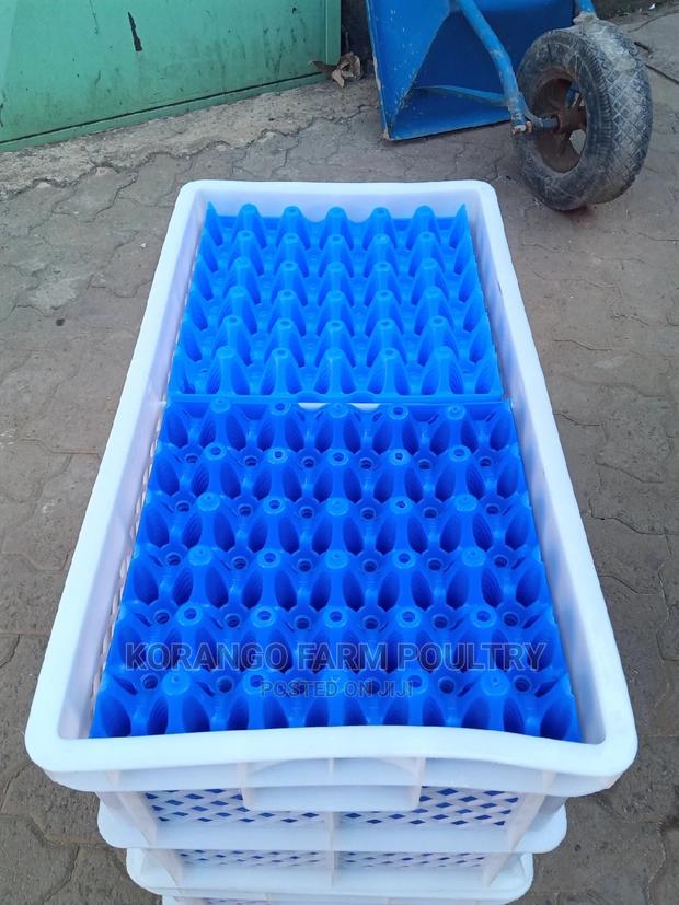 Egg Tray Transporter - thumbnail 2