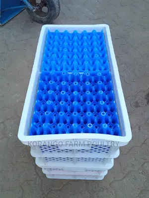 Egg Tray Transporter