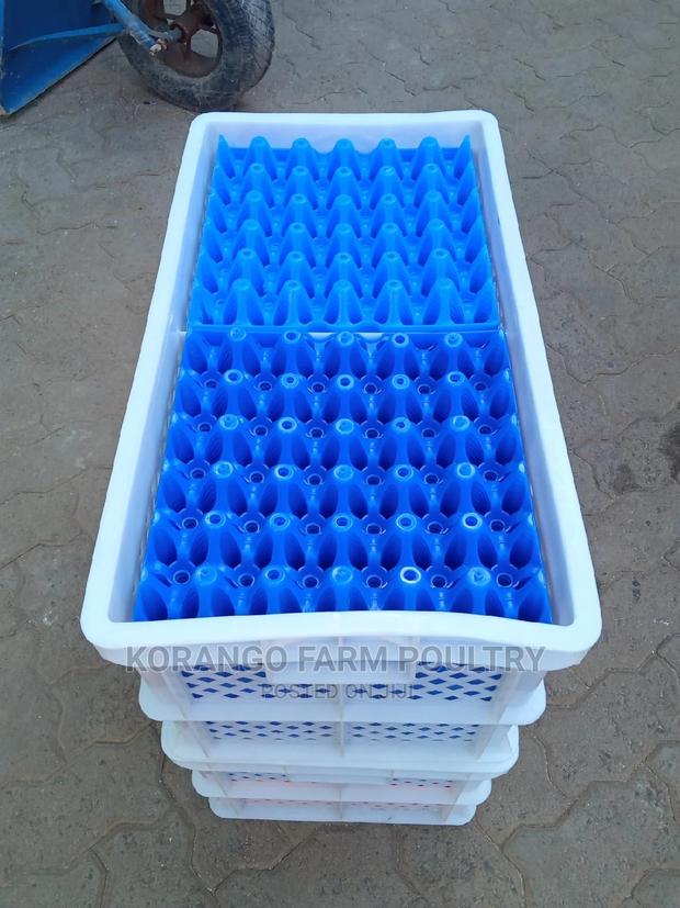 Egg Tray Transporter - thumbnail 3