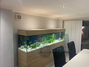 Long Aquariums - thumbnail 2