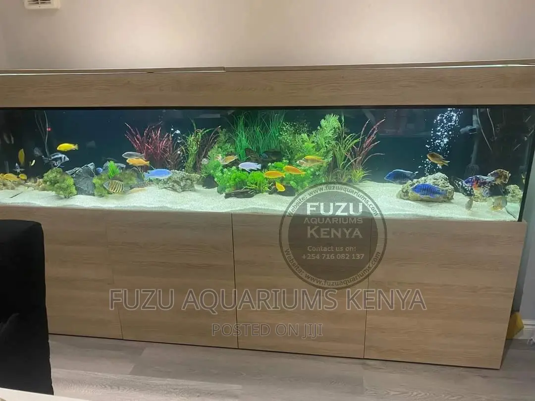 Long Aquariums