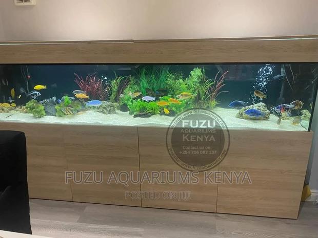 Long Aquariums - thumbnail 4