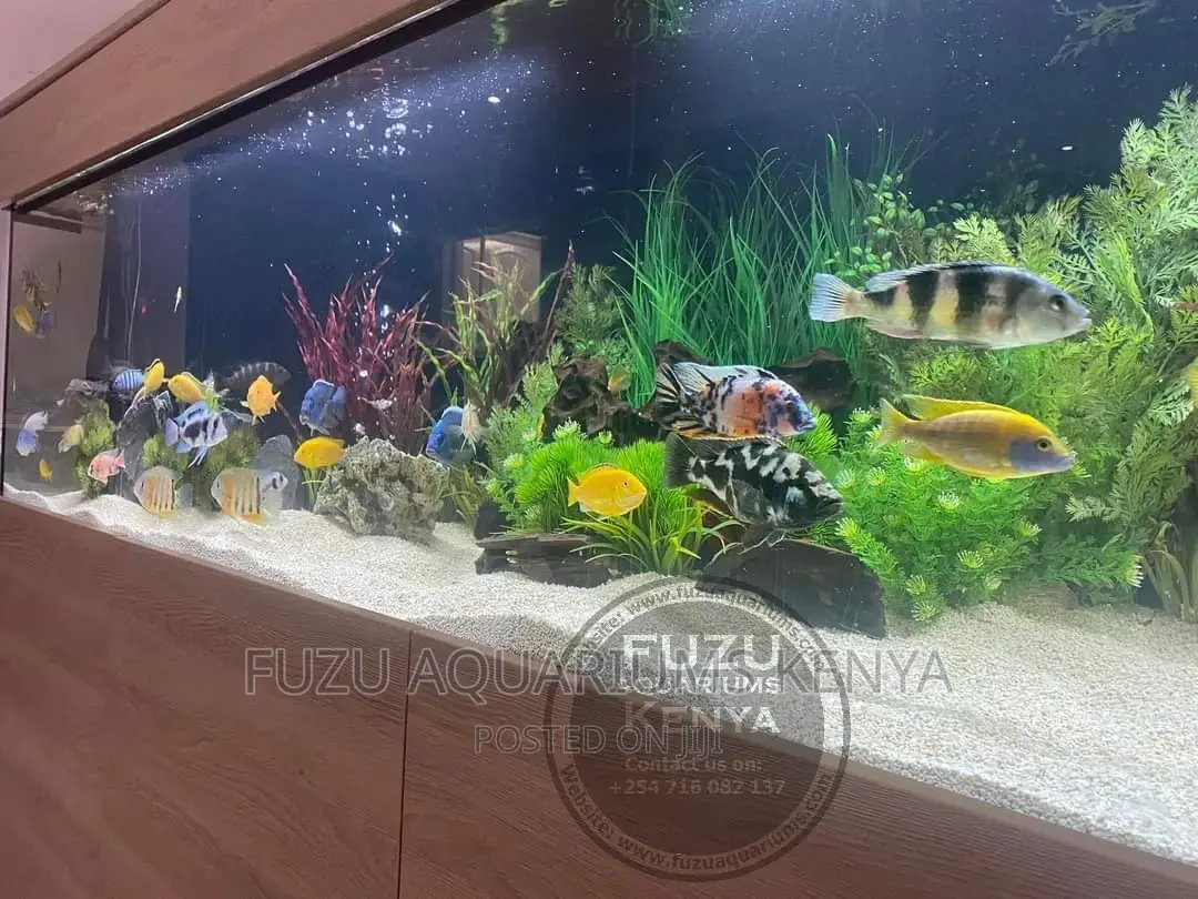 Long Aquariums