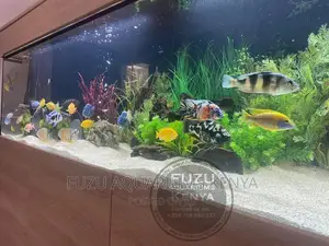 Long Aquariums
