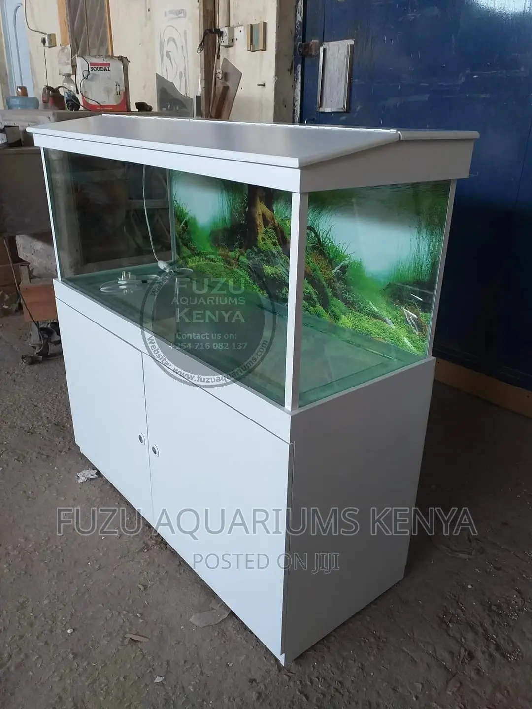 White Aquarium