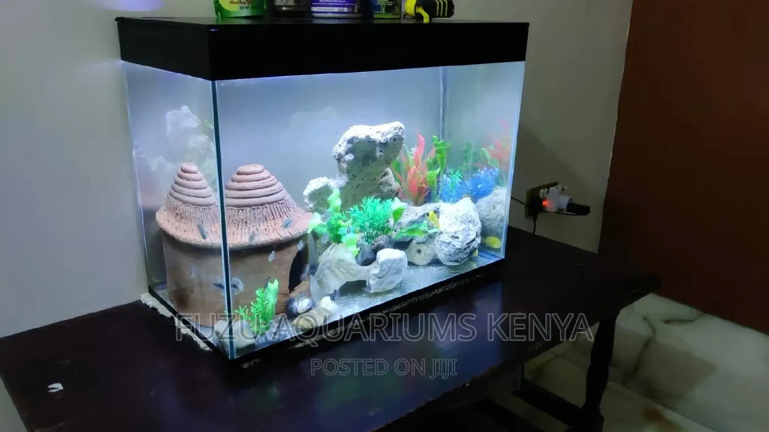 Customized Aquarium As Per Your Preferences