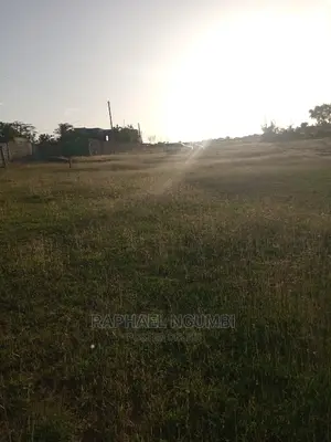 Six (6) 100*100 Plots at Kyumbi
