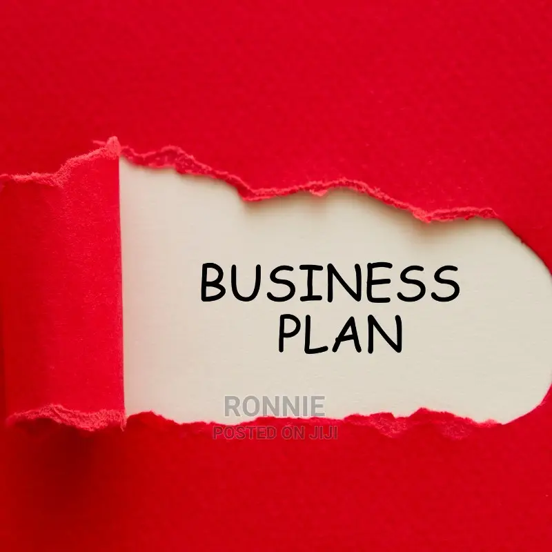 Business Plan Writing and Development W/ Financials