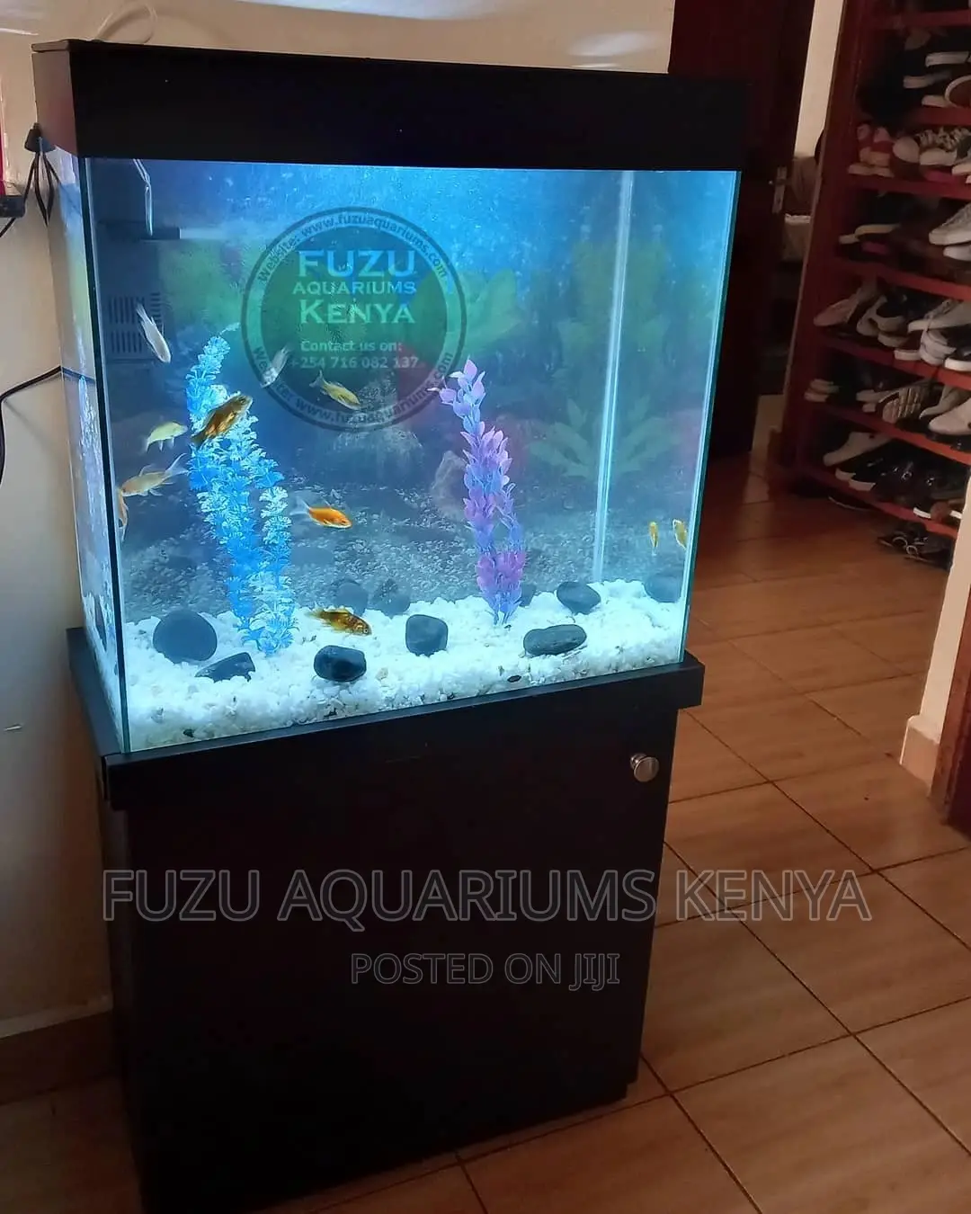 Aquariums With Stand