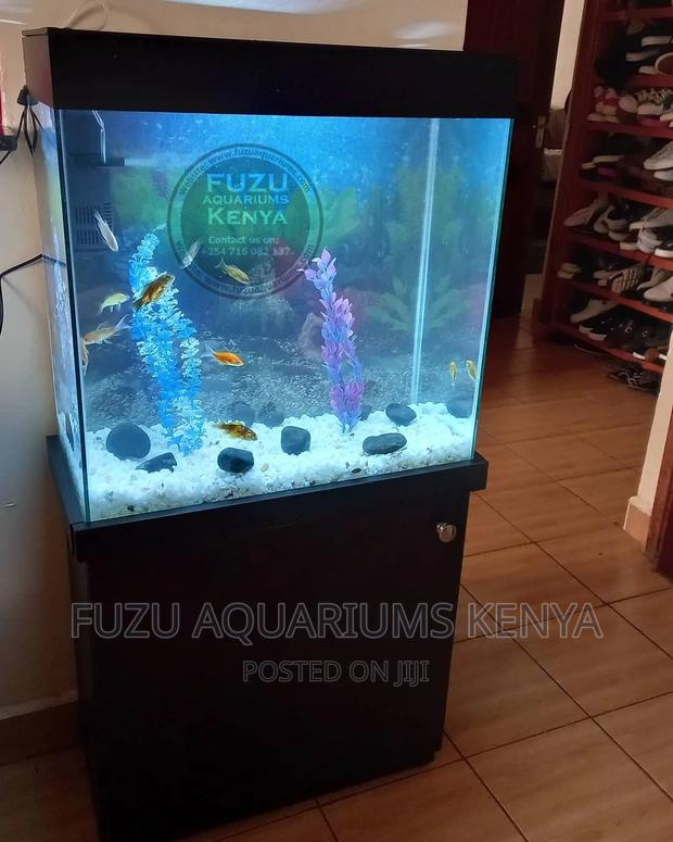 Aquariums With Stand - main view