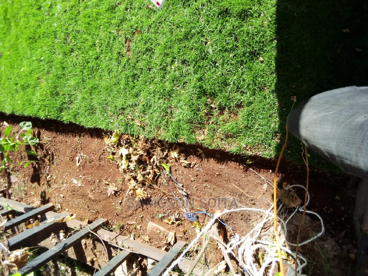 Shaping and Gardening