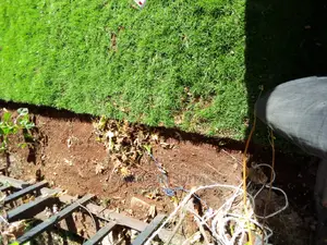 Shaping and Gardening