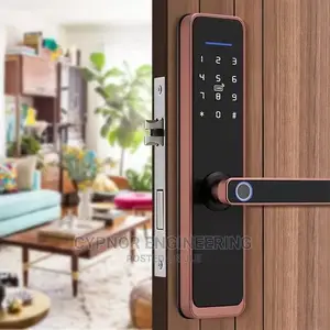 Biometric Smart Locks for Homes, Hotel and Airbnb