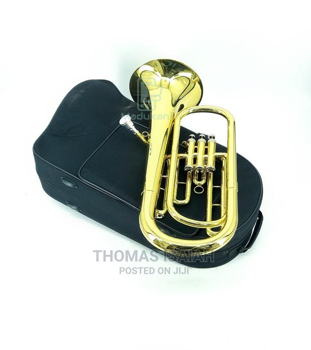 Suzuki B♭ B-Flat Baritone Horn Gold Lacquer in Hard Case - thumbnail 9