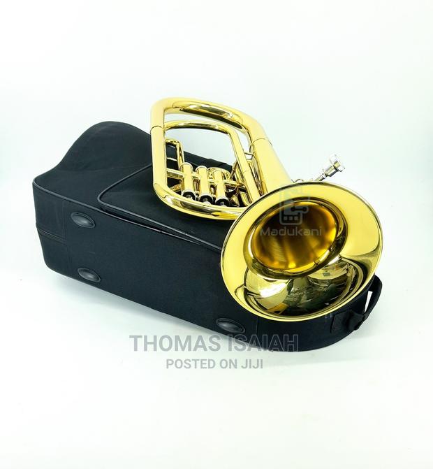 Suzuki B♭ B-Flat Baritone Horn Gold Lacquer in Hard Case - main view