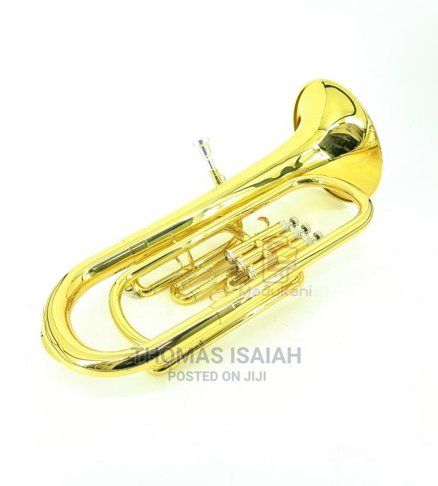 Suzuki B♭ B-Flat Baritone Horn Gold Lacquer in Hard Case - thumbnail 3