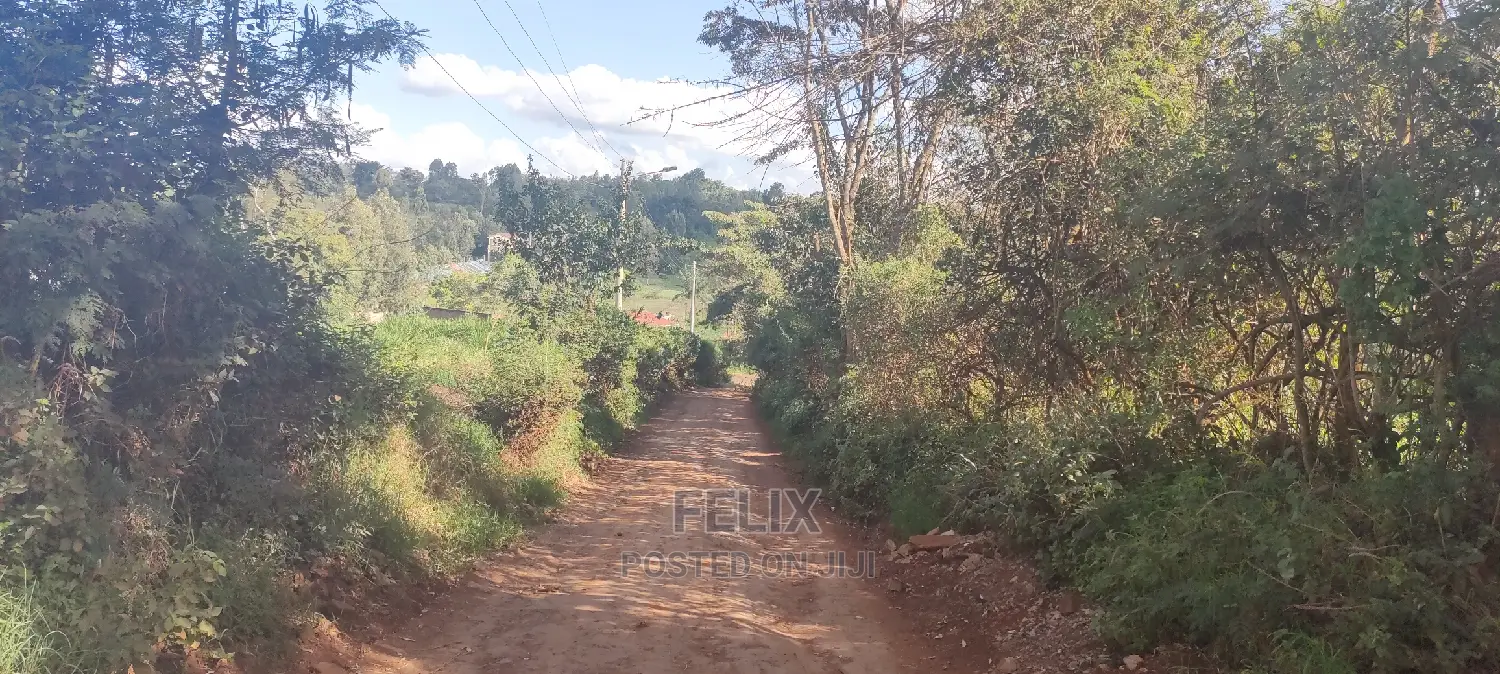 1/2 Acre Nyeri/Skuta