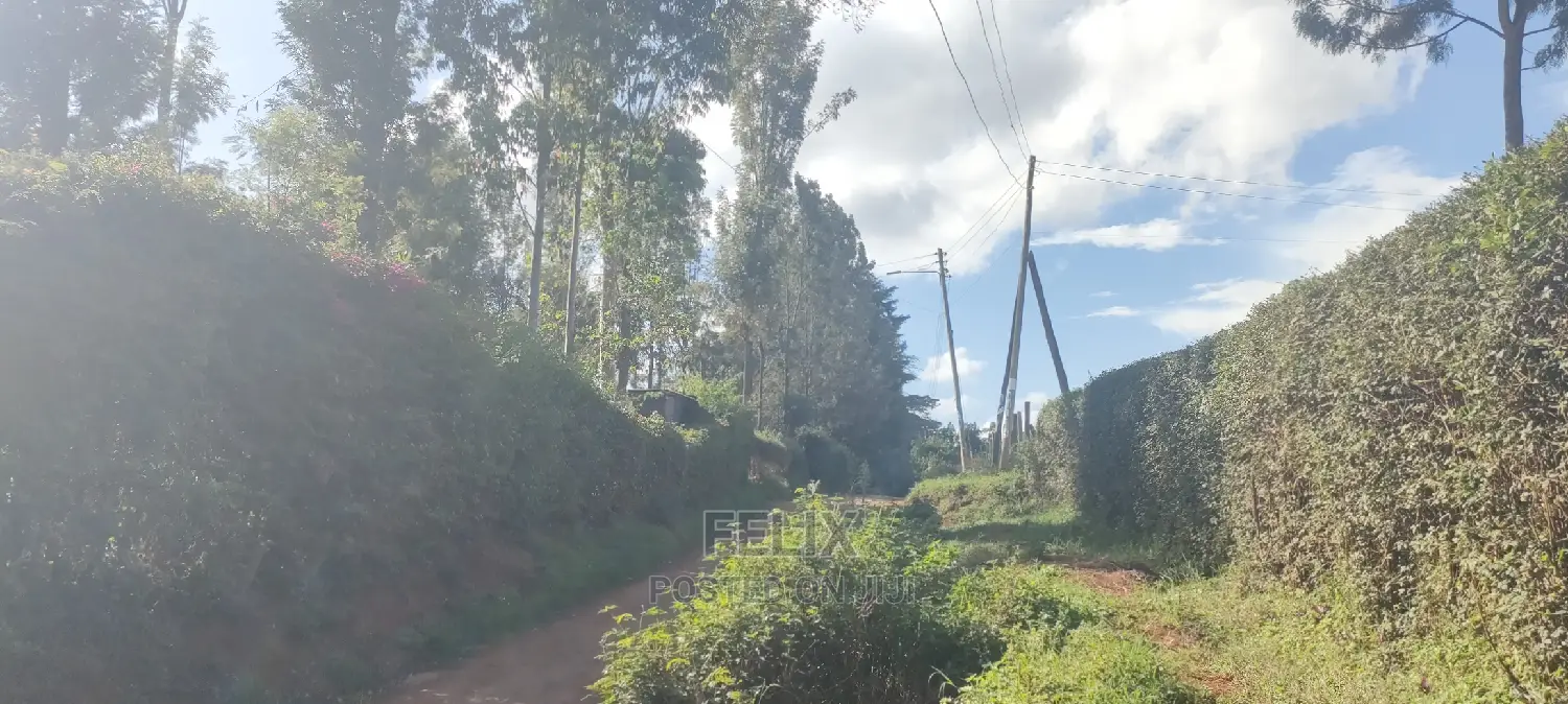 1/2 Acre Nyeri/Skuta