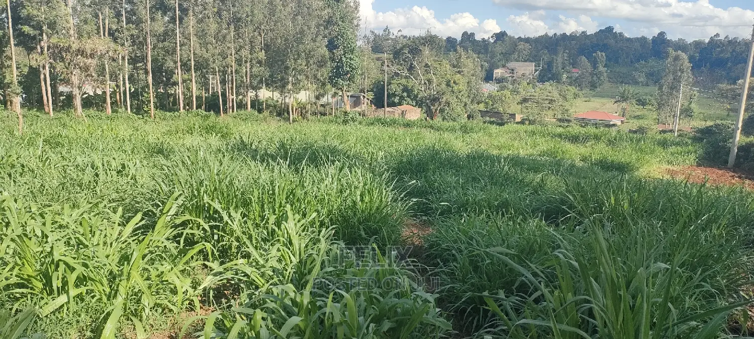 1/2 Acre Nyeri/Skuta