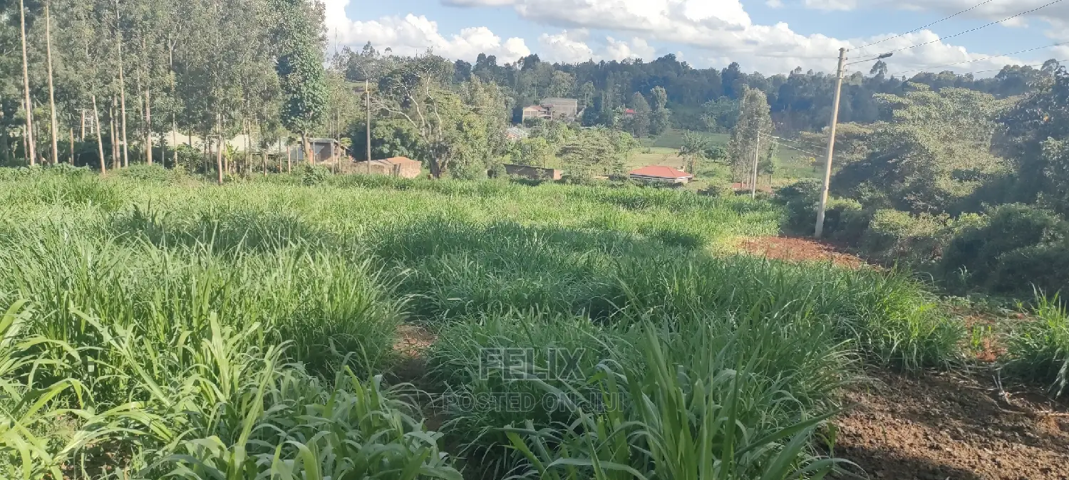 1/2 Acre Nyeri/Skuta