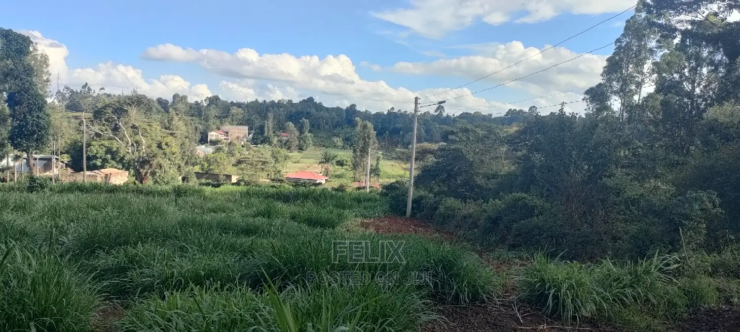 1/2 Acre Nyeri/Skuta