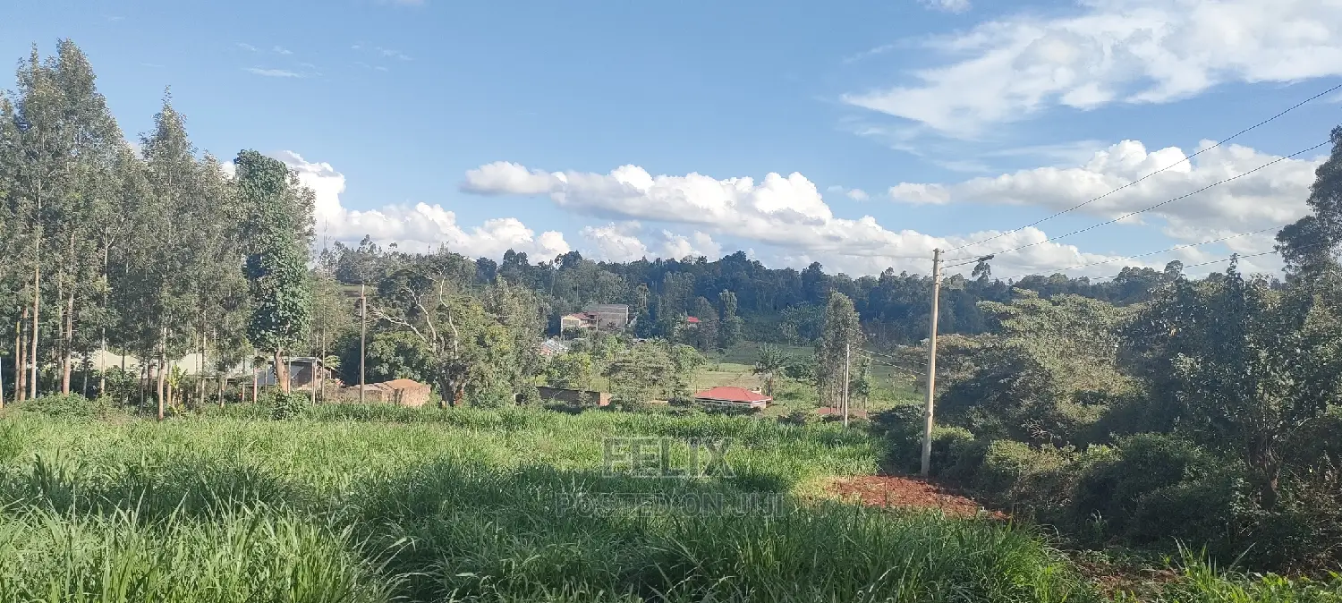 1/2 Acre Nyeri/Skuta