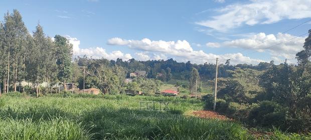 1/2 Acre Nyeri/Skuta - thumbnail 9
