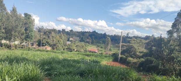 1/2 Acre Nyeri/Skuta - thumbnail 10