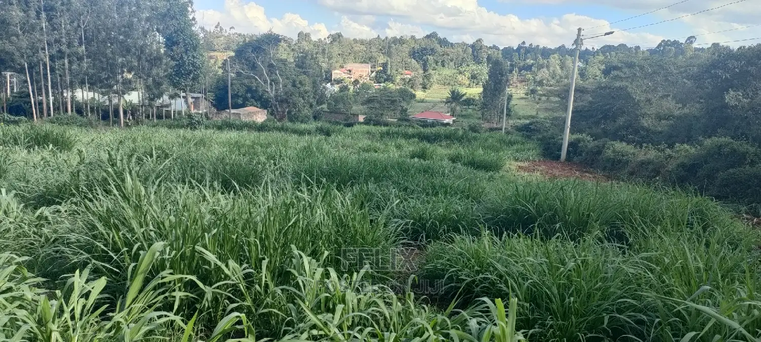 1/2 Acre Nyeri/Skuta