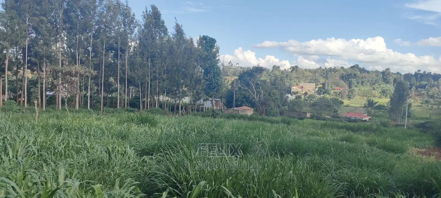 1/2 Acre Nyeri/Skuta