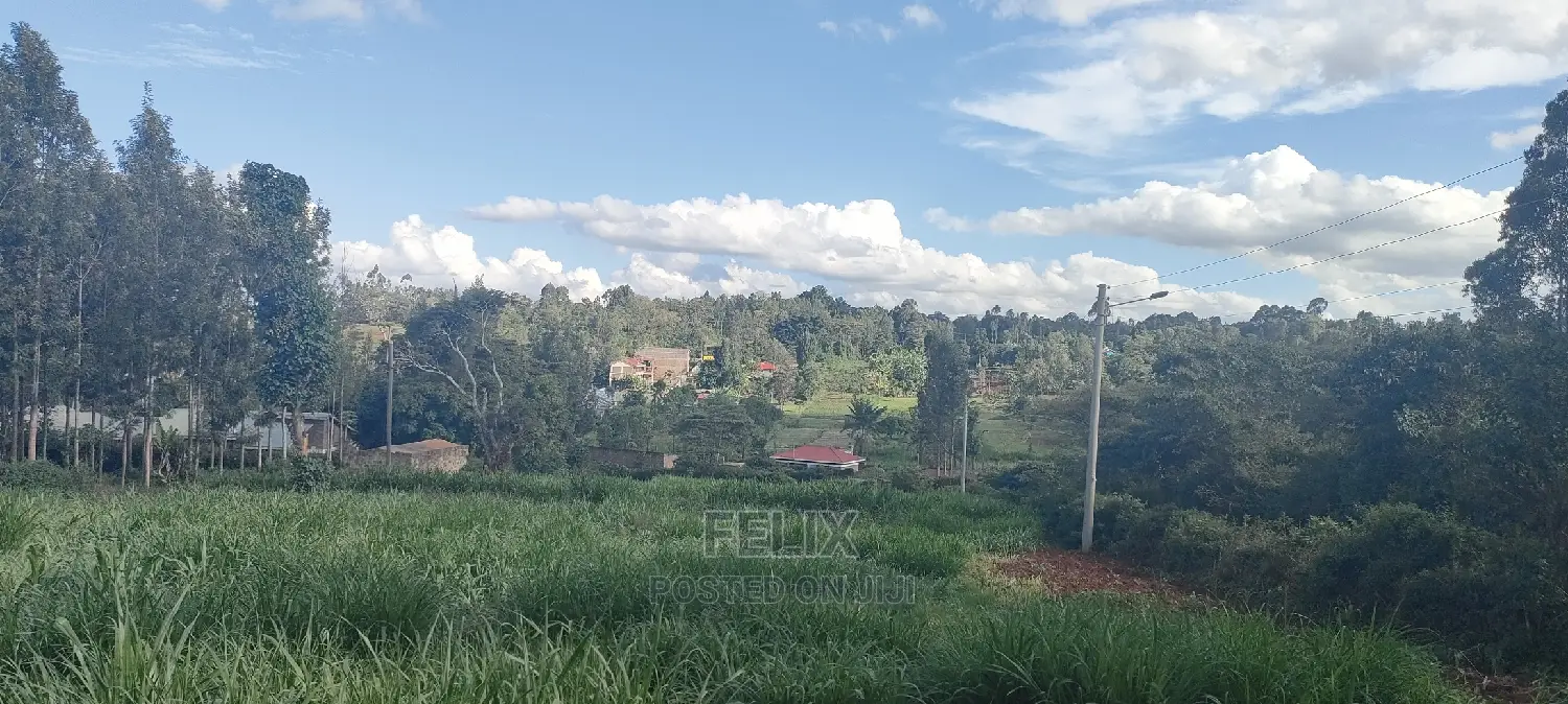 1/2 Acre Nyeri/Skuta