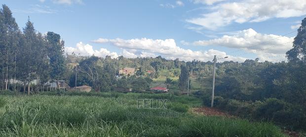 1/2 Acre Nyeri/Skuta - thumbnail 15